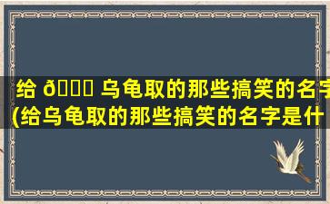 给 🐅 乌龟取的那些搞笑的名字(给乌龟取的那些搞笑的名字是什么)
